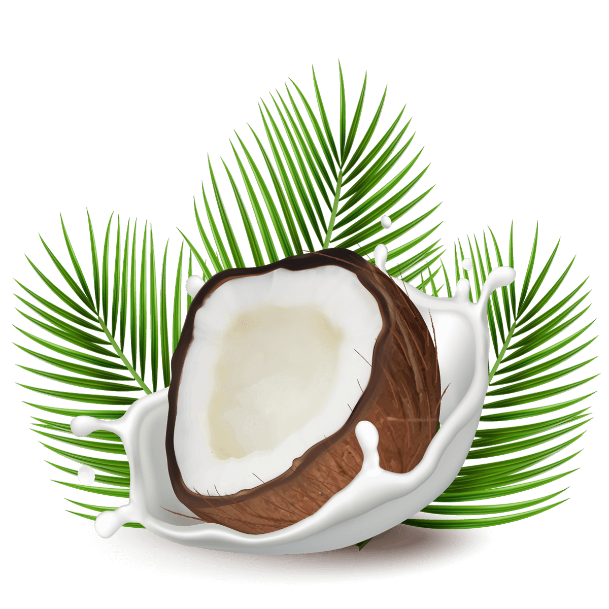 —Pngtree—coconut and milk splash with_6247368(1)